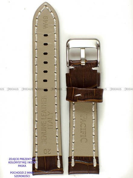 Pasek skórzany do zegarka - Pacific W49.24.2.7 - 24 mm