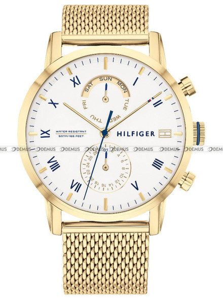 Zegarek Męski Tommy Hilfiger 1710403